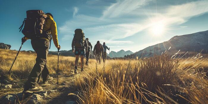 Best Camping Stove for Backpacking