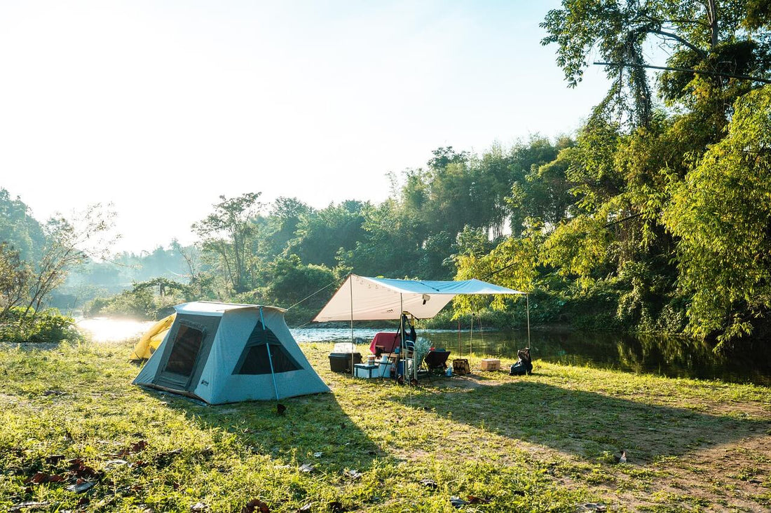 Best Camping Stove for Car Camping